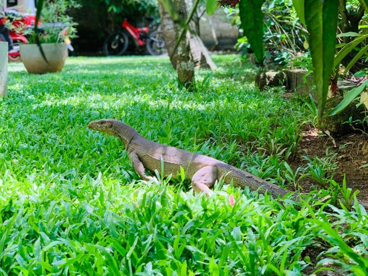 Villa Olga Unawatuna Exterior foto