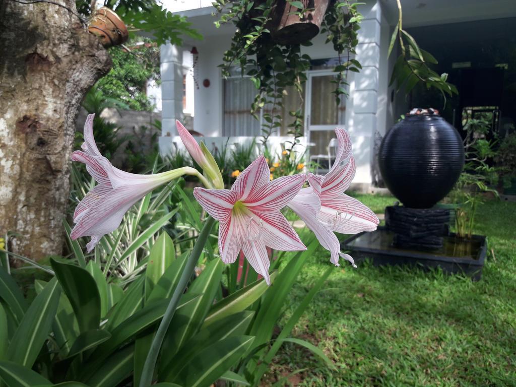 Villa Olga Unawatuna Exterior foto